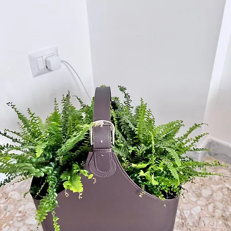 Aliste Apartment